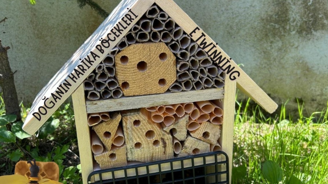 DOĞANIN HARİKA BÖCEKLERİ (Wonderful Insects of Nature)